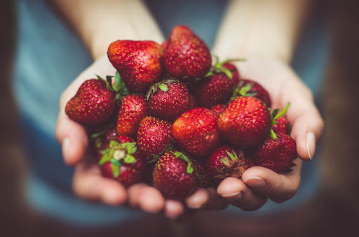 Zwei Hände voller Erdbeeren